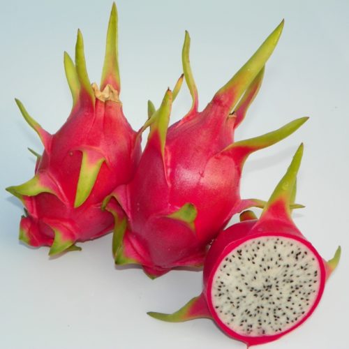 ejder meyvesi pitaya mexicana